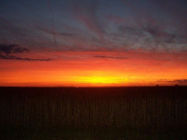 2008: Autumn Sunset in Coles County